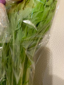 ＪＡ全農いばらき　みず菜　１００ｇの商品写真