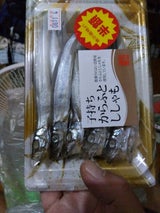 松江 子持ちカラフトシシャモ