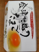 酒井養鶏場 会津地鶏のたまご 6個