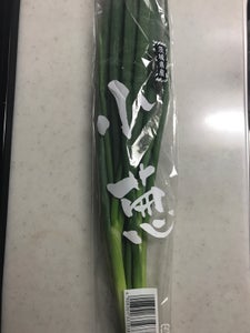 ＪＡ全農いばらき　こねぎの商品写真