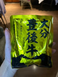 南光物産 大分豊後牛ビーフカレー 160g