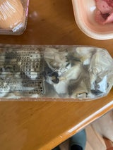 まるたか水産 生かき