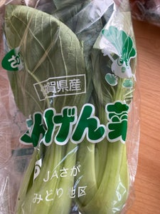 JA佐賀 チンゲン菜