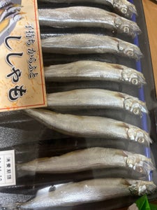 岡田 ノルウェー産ししゃも6L 8尾