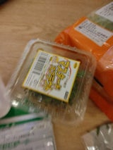 井澤 マスタードスプラウト