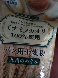 熊粉 強力粉 九州のめぐみ 袋 650g