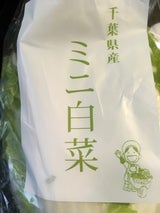 船橋農産 ミニ白菜 1P