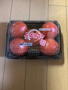 全農福岡 博多のトマト 500g