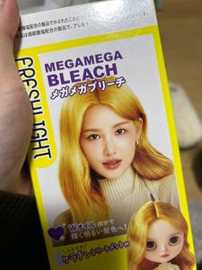 フレッシュライト　メガメガブリーチ　１個の商品写真