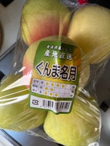 カルマアップル ぐんま名月 袋 1.2kg