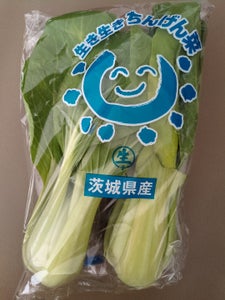 生子 生き生きちんげん菜