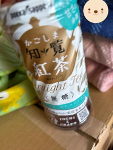 かごしま知覧紅茶無糖 PET 500ml