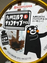 弘乳舎 九州ミルク&チョコチップアイス 110ml