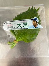 アルファー 特別栽培 大葉(誠の香り)