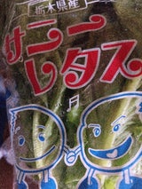 諸川 サニーレタス 栃木産