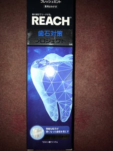 リーチ 歯石対策プロジェクト歯みがき 120g
