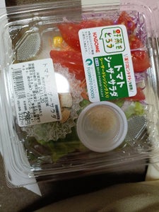 藤本食品 トマトシーザーサラダ