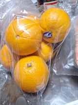 万浦 ネーブルオレンジ