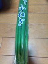 平野 薬味ねぎ 1P