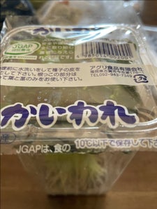 アグリ食品 カイワレ 100g