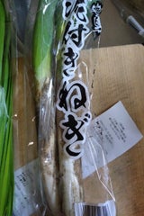 JA岐阜 飛騨ネギ