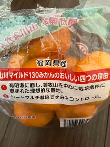 全農福岡 福岡みかんマイルド 1kg