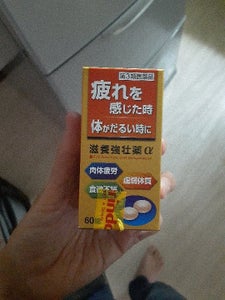 滋養強壮薬α 60錠