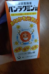 パンラクミン錠 350錠