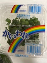 丸豊 かいわれ大根 1ポット