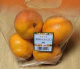 JA西宇和 フルーツ 棒ネット L