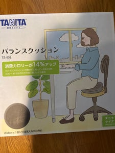 TANITA タニタサイズ TS-959-GY