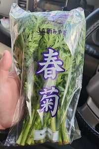 JA新みやぎ 春菊