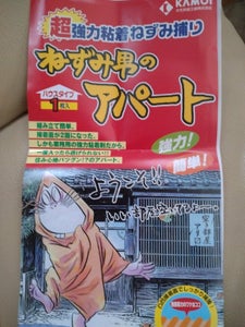 カモ井加工紙 ねずみ男のネズミとりハウスタイプ