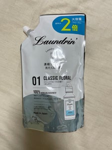 パネス ランドリン洗剤CF 2回分 720g