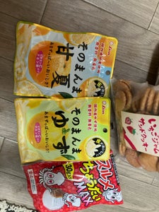 ライオン菓子 そのまんまゆず 23g