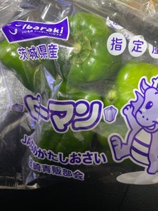 全農茨城 ピーマン大袋 1P