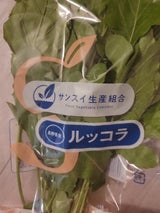 サンスイ サラダほうれんそう 60g