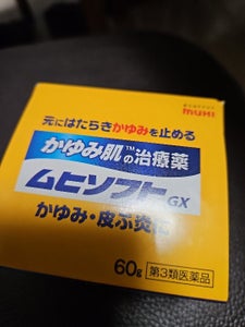 かゆみ肌の治療薬 ムヒソフトGX 60g