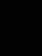 ダブルオー 若狭塗箸 初桜 食洗機対応