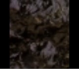 コメックス ふっくらおにぎり ツナ