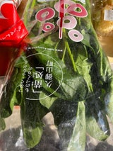 全農京都 ほうれんそう 1P