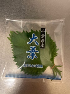 長生あおば農園 千葉県産 大葉