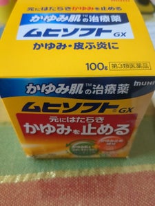 かゆみ肌の治療薬 ムヒソフトGX 100g