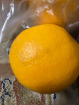 ヒロ ネーブルオレンジ