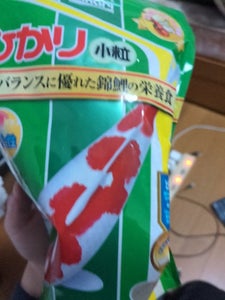 キョーリン ひかり小粒 400g