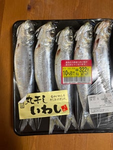 飯田 いわし丸干し 5尾