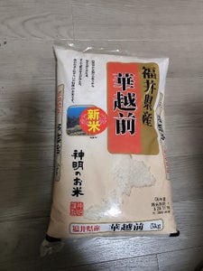 神明 福井華越前 5kg