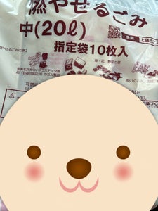 上越市 燃やせるごみ指定袋中20L 10P