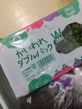 中野 かいわれだいこん WP