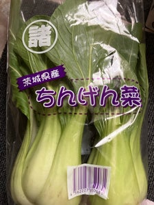 諸川 チンゲン菜 1P